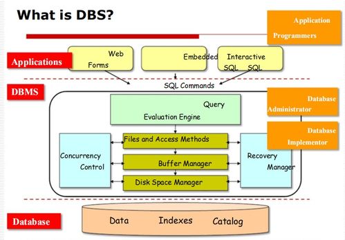 數據庫管理系統（DBMS）入門 基礎概念、目標與應用